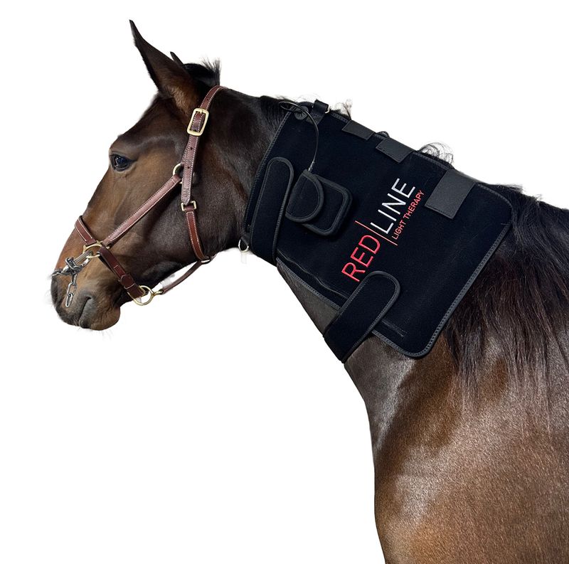 Redline Pad Cob